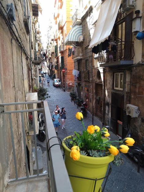 La Conchiglia Appartamento *